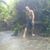 Patrick Westerfield's profile image