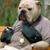 Dave Voshell's profile image