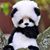 T Jeff Stoesser's profile image