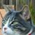 Jeannine Blue Lupton's profile image