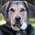 Dave Truslow's profile image