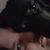 Melissa McNeal Seitz's profile image