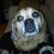 Samantha Trosky's profile image