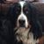 William Deines's profile image