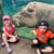 Allyson Koeneman's profile image