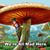 RoseMarie Willis's profile image
