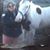 Anna Gregory's profile image