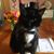 Cynthia Riggin's profile image