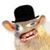 Debbie Pratt's profile image