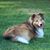 Joyce Fishel's profile image
