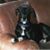 Howard Wynder's profile image
