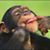 Terri Sasser's profile image