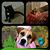 Janet Foster's profile image