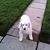 Shirley Charelli's profile image