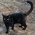 Carla Mitchell's profile image