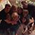 Patricia Stratton's profile image