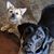 Mandy Godinez's profile image