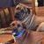 Michele Moore McNeill's profile image