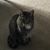 Sue Schermetzler Ewers's profile image