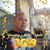 Ramon Trigo's profile image