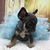 Lisa Hill-Starr's profile image