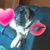Tammy Castro's profile image