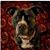 Michel And-Judy Marcellot's profile image