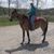 Susan Antonine Tweedale-Hill's profile image
