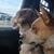 William Burk Jr.'s profile image