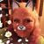 Tracie Bare's profile image