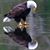 Helen Sprague's profile image