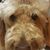 Mary Elizabeth's profile image