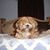 Lorrie Kundrat's profile image