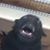 Paul Turner's profile image