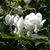 Mary Thompson Barbee's profile image