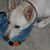 Kendra Van Nostran's profile image