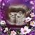 Candice Crosby's profile image
