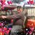 Holly L. Baker's profile image