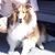 Lou Reigel's profile image