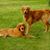 Julie Gemar-Stimac's profile image