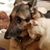 Linda Dillon's profile image