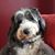 Christine Garside's profile image