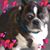 David J. Hill's profile image