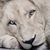 LaTasha Johnson's profile image