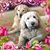 Becky Tinsley Hall's profile image