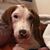 Dee Dee Dhein's profile image