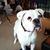 Linda Otto-Phillips's profile image