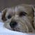 Susan E Walton's profile image