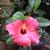 Teresa Harmon's profile image