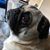 Douglas Quealy's profile image